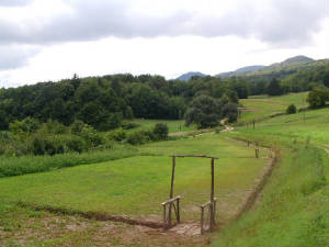 sany0003.jpg